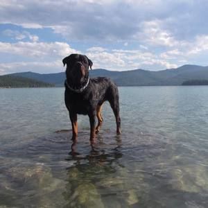 Meet your Posher, Amber